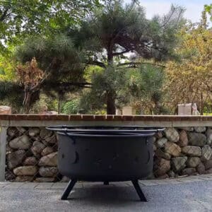 portable and charcoal grill